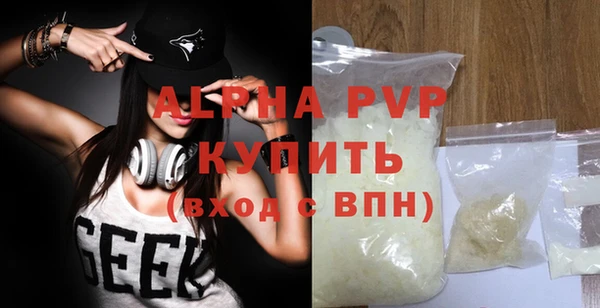 шишки Новозыбков