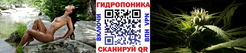 Шишки марихуана Bruce Banner  магазин продажи наркотиков  Талица 